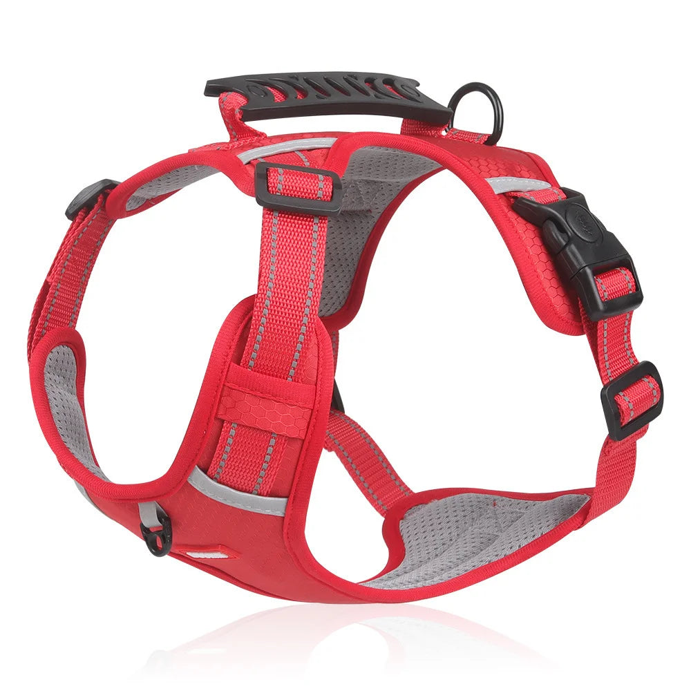 🐶 【5–30 kg】Postroj proti tahání – 🎁 Ideální dárek pro každého milovníka psů