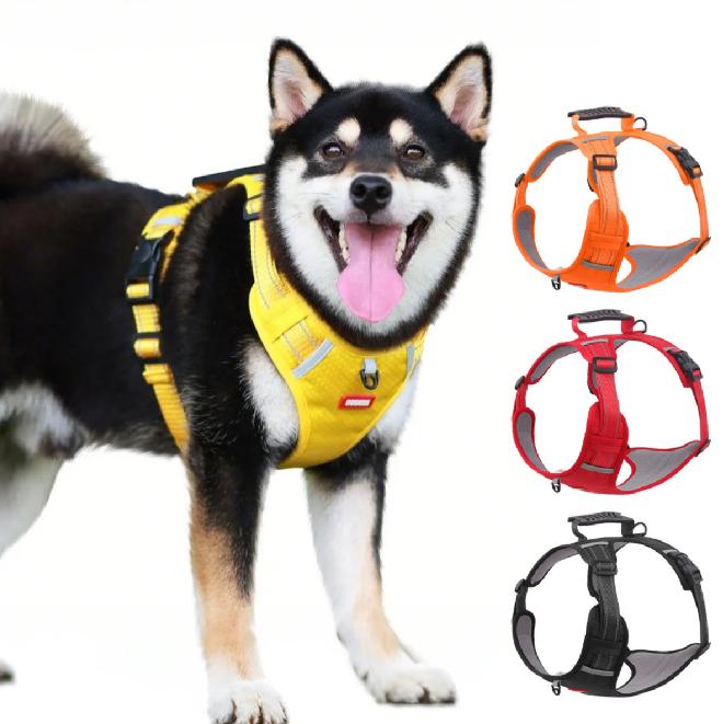 🐶 【5–30 kg】Postroj proti tahání – 🎁 Ideální dárek pro každého milovníka psů
