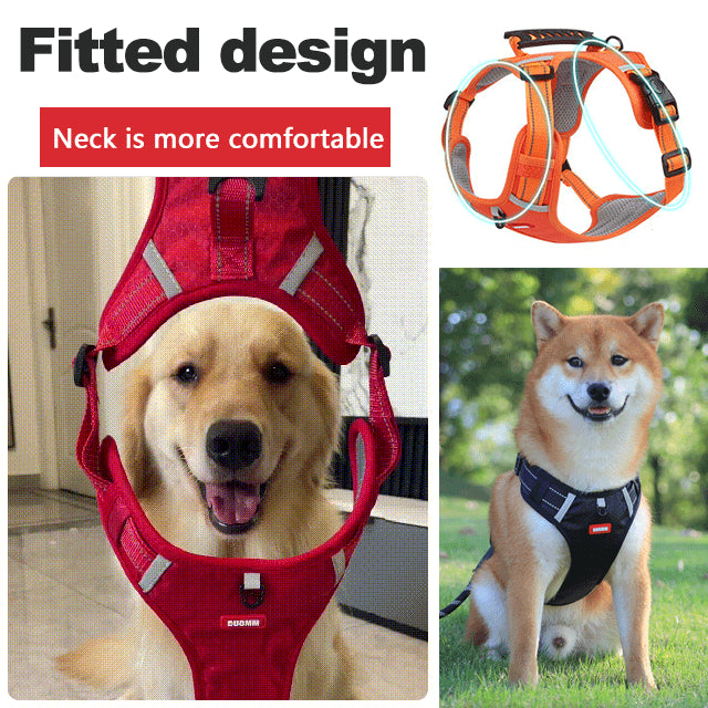 🐶 【5–30 kg】Postroj proti tahání – 🎁 Ideální dárek pro každého milovníka psů